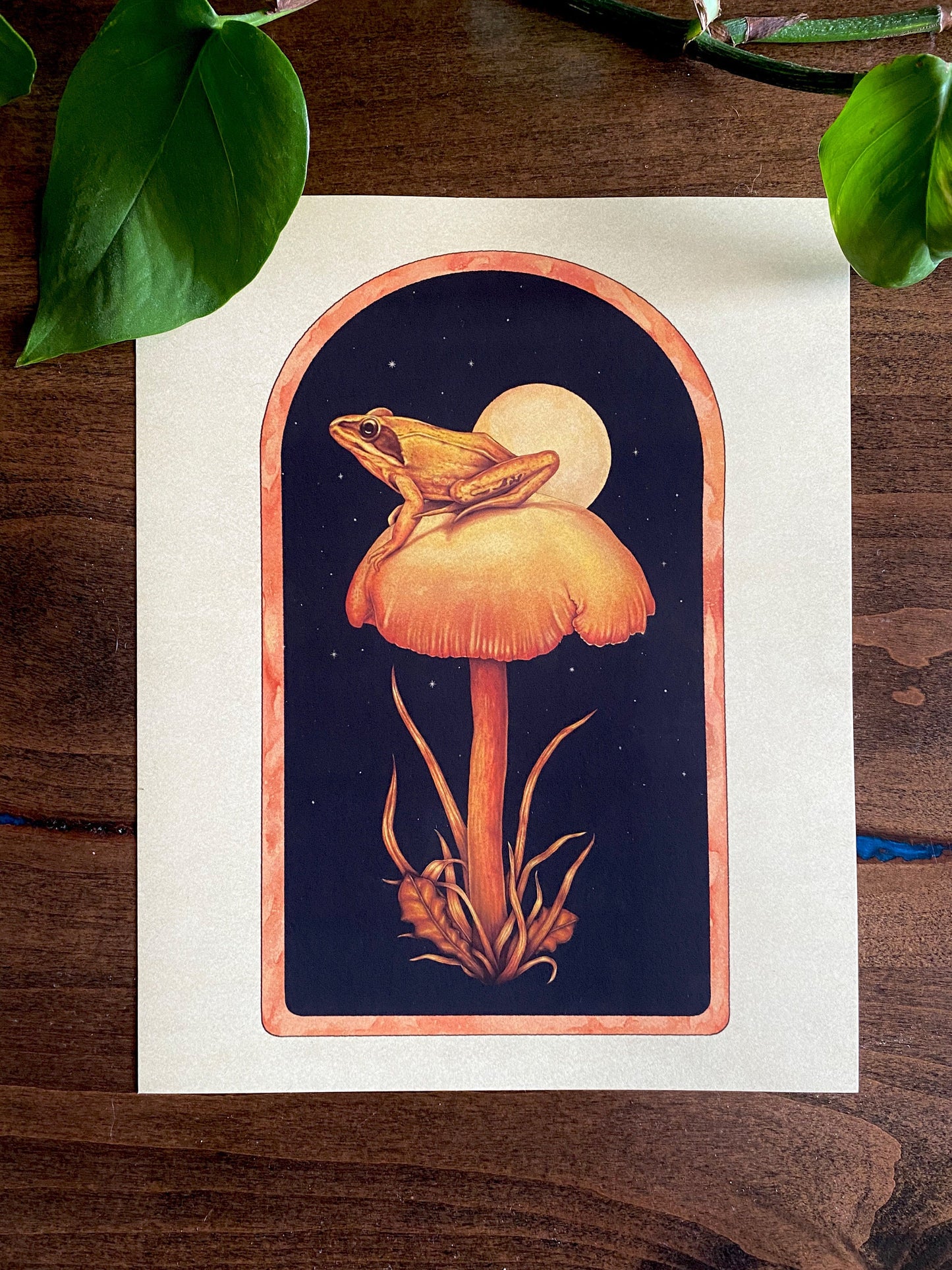 Frog & Mushroom Art Print