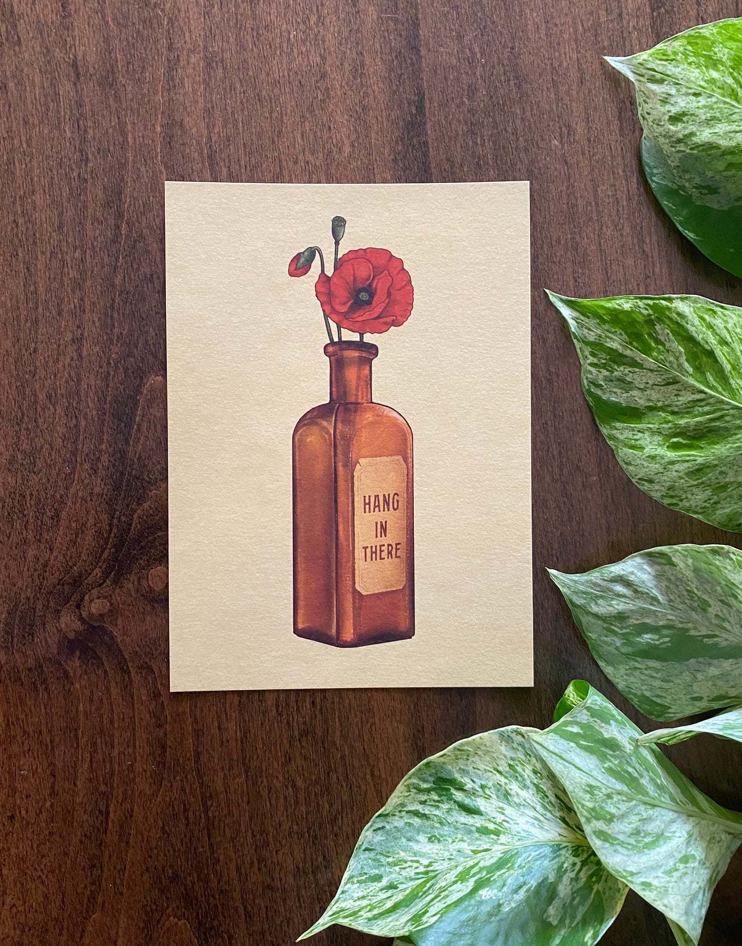 Hang in There Art Print