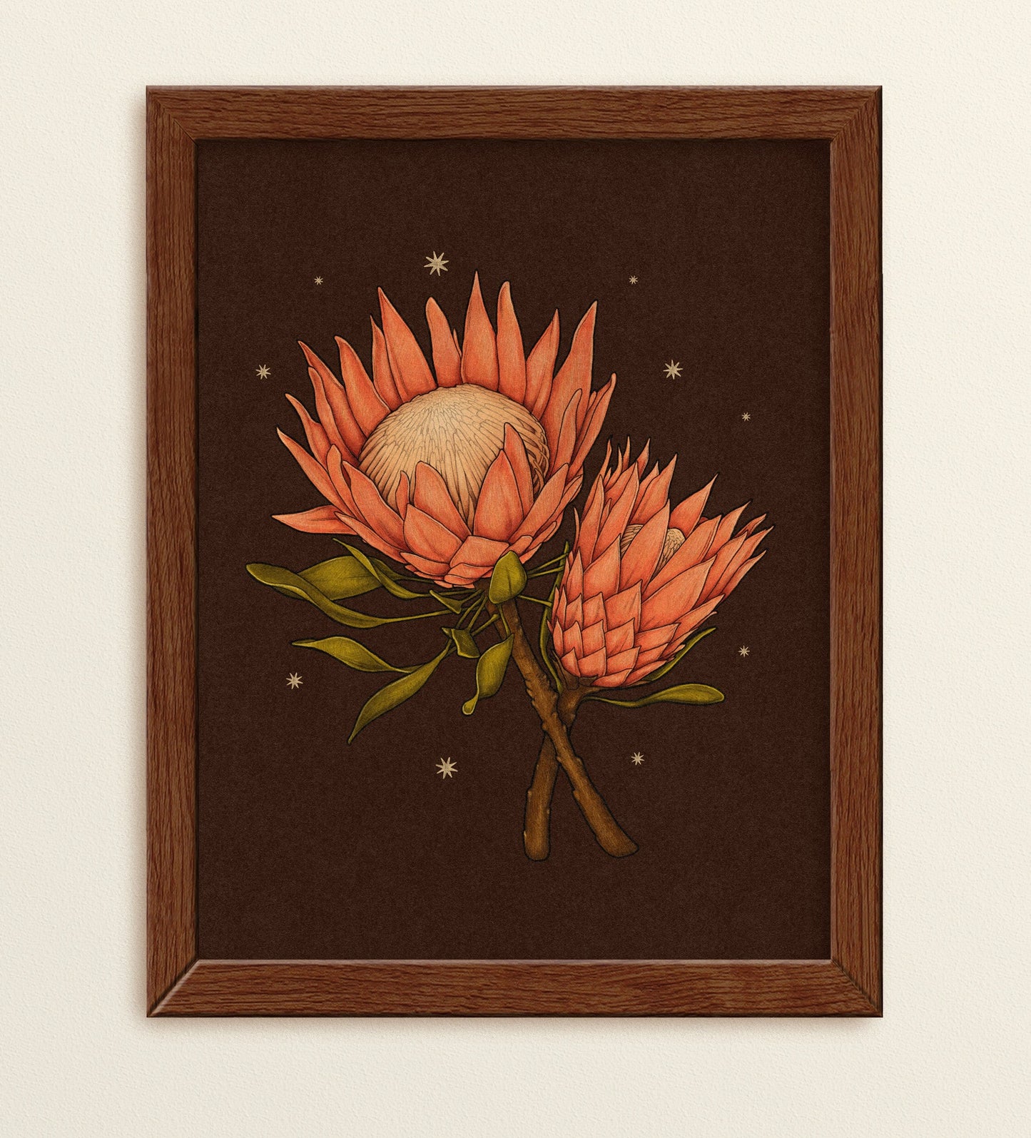 Protea Flower Art Print