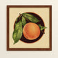 Peach Art Print