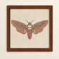 Death Head Moth ⋆ Art Print ⋆ Vintage Inspired Art  ⋆ Boho Art Print ⋆ Witchy Art Print